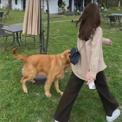 摄影私记